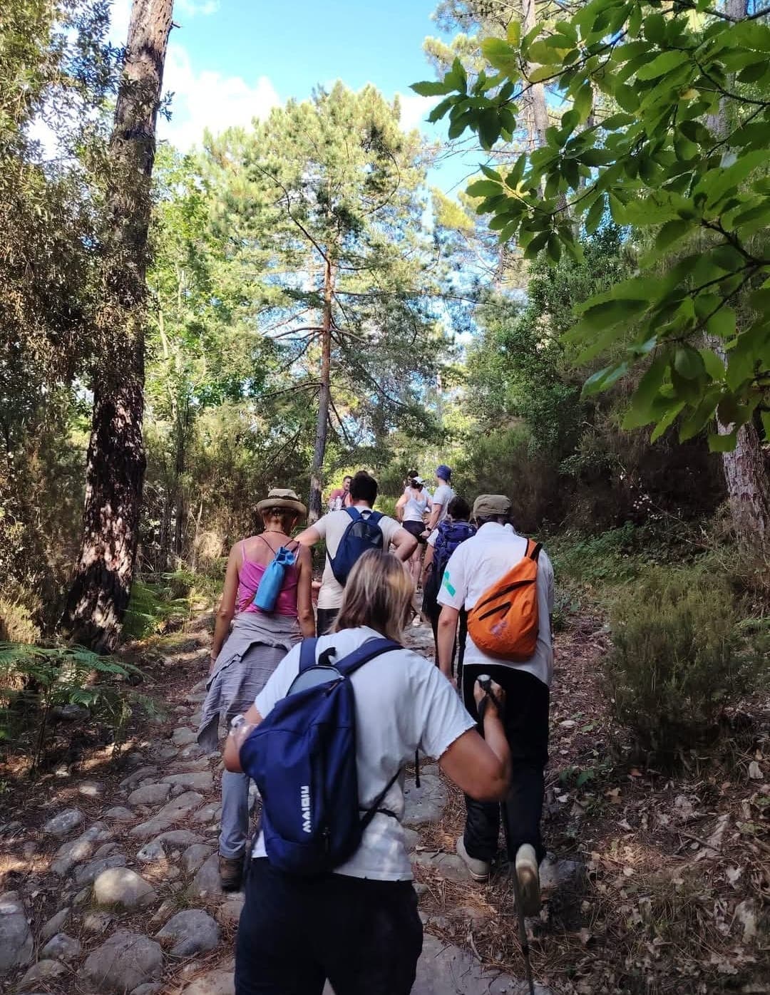 Gruppo in cammino lungo un sentiero nel bosco