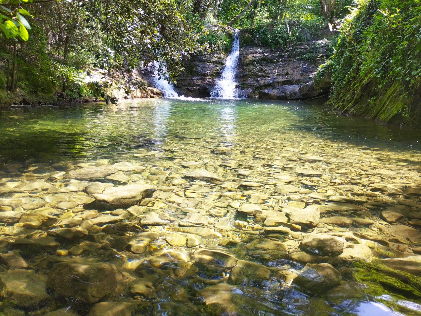 Pozza d'acqua limpida con piccola cascata nel bosco